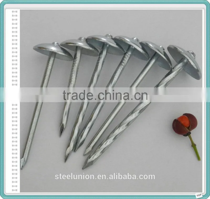 roofing nails/roofing nail supplies