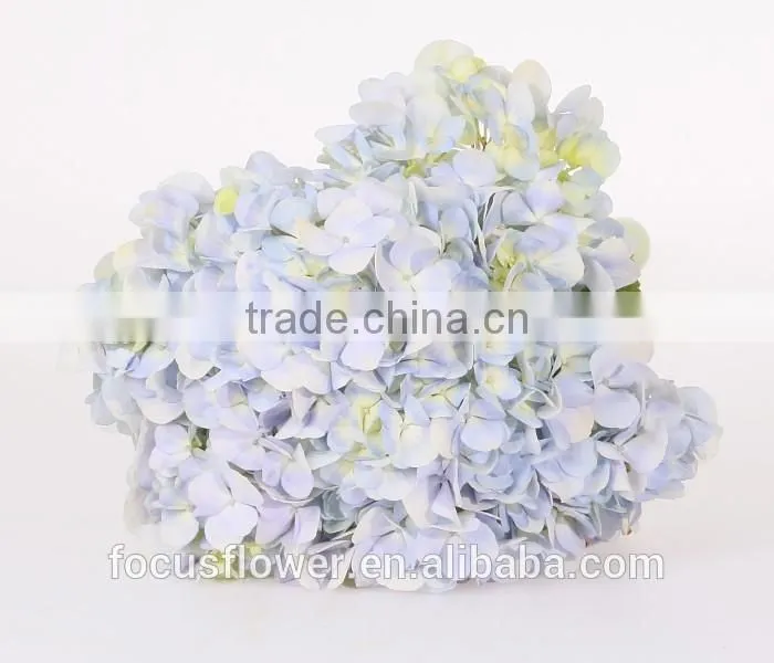 Wholesale Organic Fresh Cut Decorative Colorful Flowers Perfect For Mother's Day Hydrangea Flower