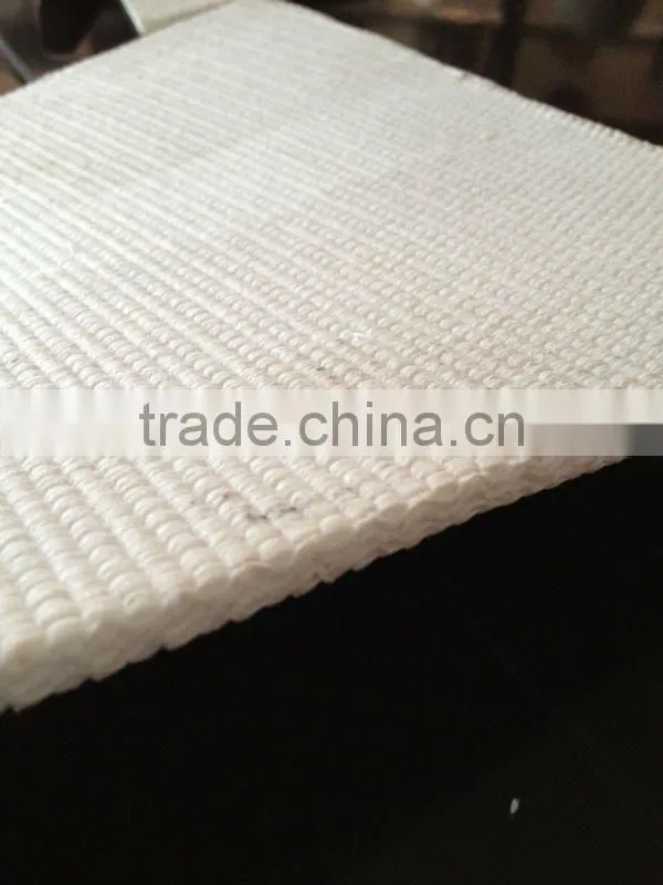 100% polyester conveyor belt