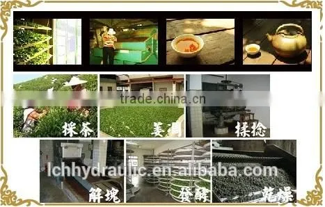 Raw black tea leaf with extract black tea buyer