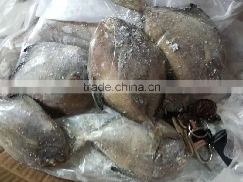 frozen seafood