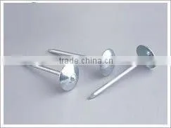 roofing nail with umbrella head