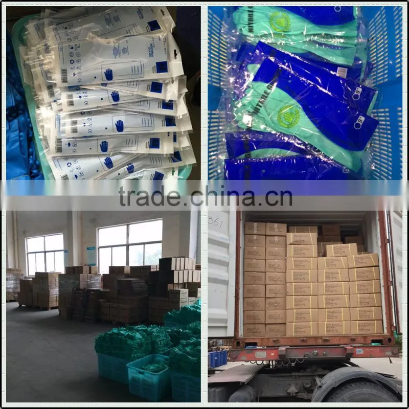Blue Safety Rubber Coated Work Glove