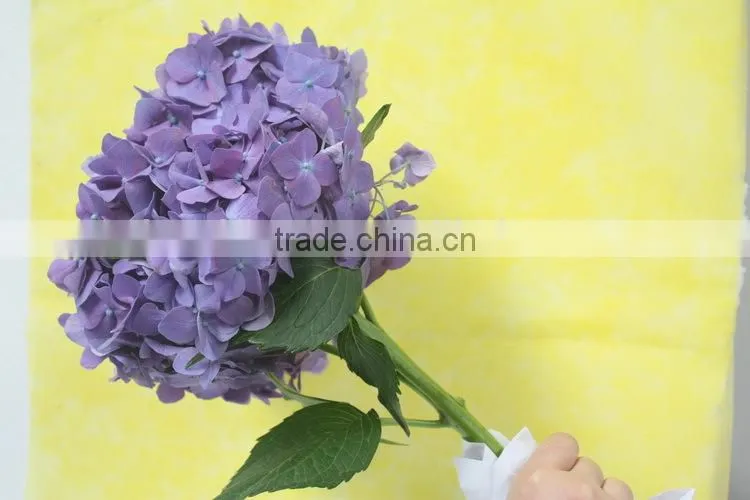 Elegant in smell top sell indoor decoration flower of hydrangea