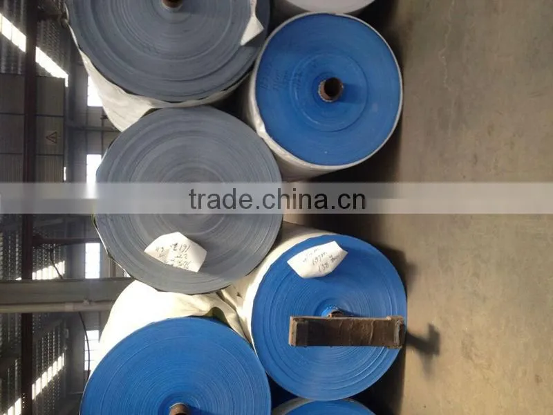 Blue/Silver PP Plastic Laminating Tarps Sheets Tarpaulin Plastic Sheet with All Specifications China Manufacturing