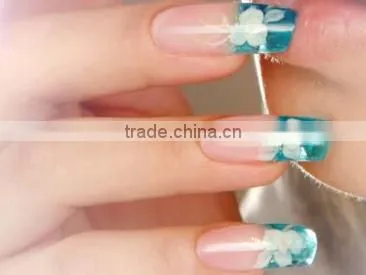 High Quality Easy to Use Portable Nail Printer