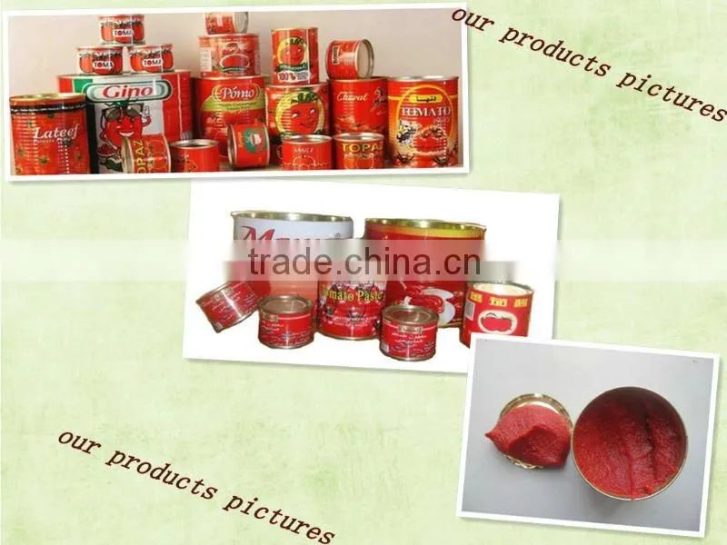 good quality canned tomato paste 28-30% 425g