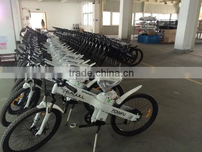 Seagull - Hot sell seagull electrical bike in the world , crazy popular in the Mexico