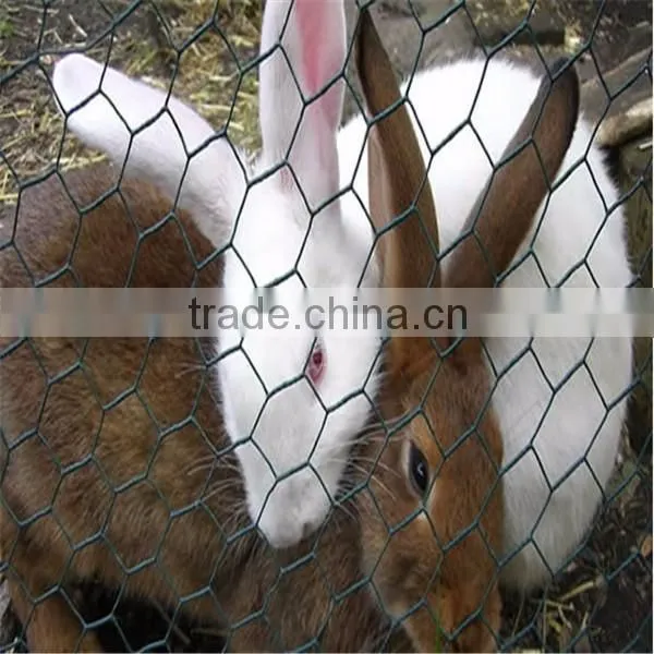 High quality Chicken wire mesh