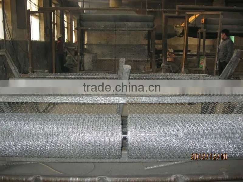 factory direct sale galvanized hexagonal weaving wire netting