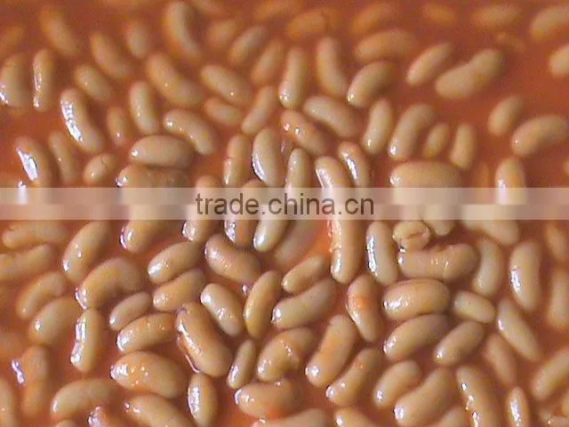 white kidney beans in tomato sauce