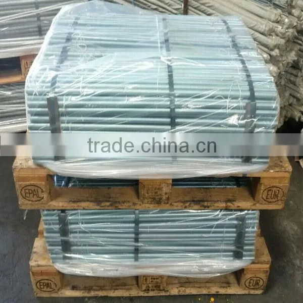 competitive price stud anchor/thread rod with nut