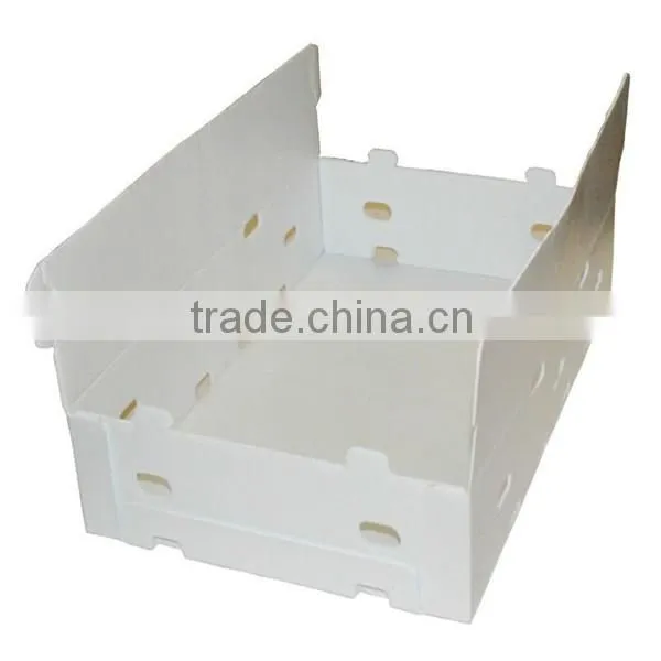 Waterproof and recycled PP plastic fruit boxes