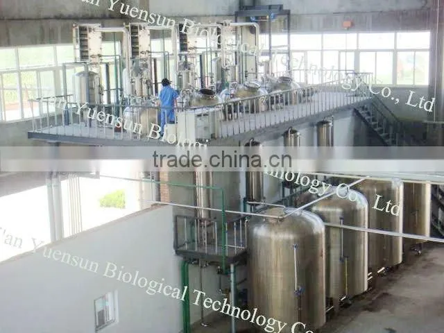 NSF-GMP Certified/Honeysuckle Extract with Chlorogenic Acid 98% HPLC