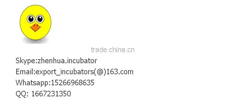 ZH-40 automatic bird depilator machine/ quail plucker machine
