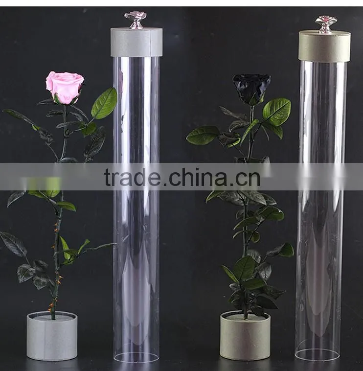 2016 Yiwu Aimee wholesale fresh colorful preserved flower(AM-PF08)