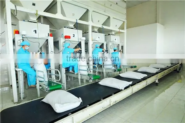 short grain rice/vietnam rice/