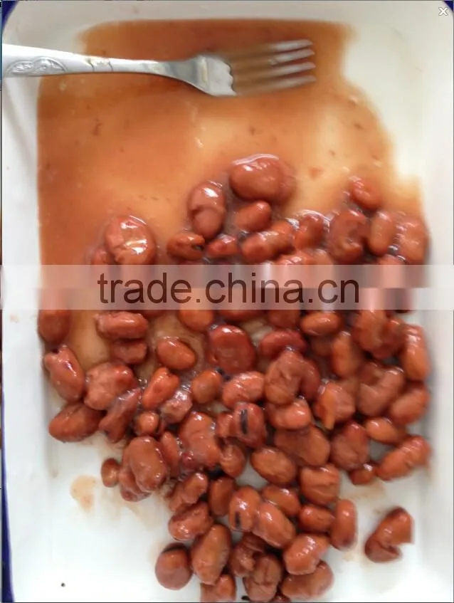 Top quality canned Broad beans in brine