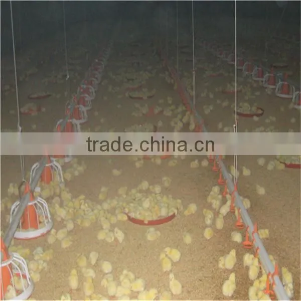 Poultry Automatic Pan Feeding System for Broiler Chicken Farm