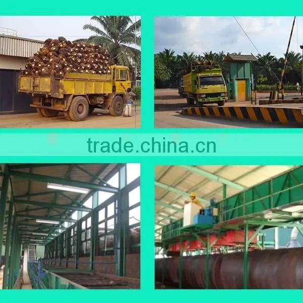 30tph palm fruit solvent oil extract machine
