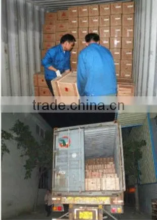 Wide range of application WPDKZ speed deceleration