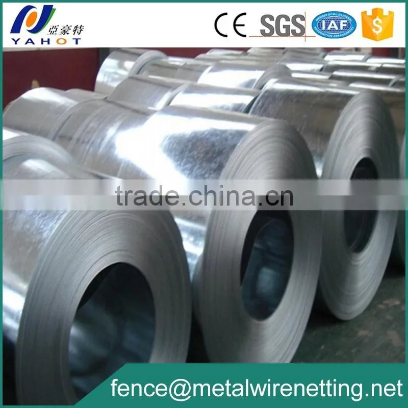 1250mm Galvanized Iron Steel Coil