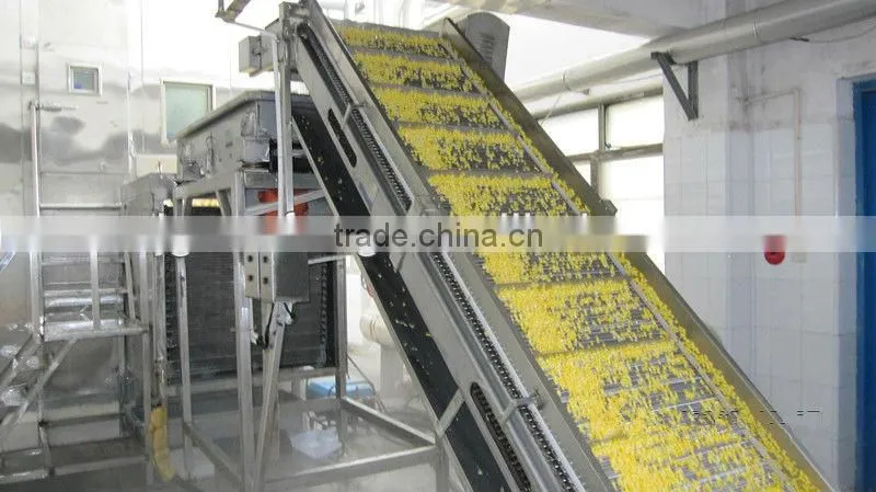 Food Machinery Pre-treatment for Quick Frozen Vegetable Production Line