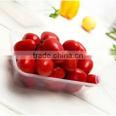 Black 3 divided microwavable safe storage plastic food containers