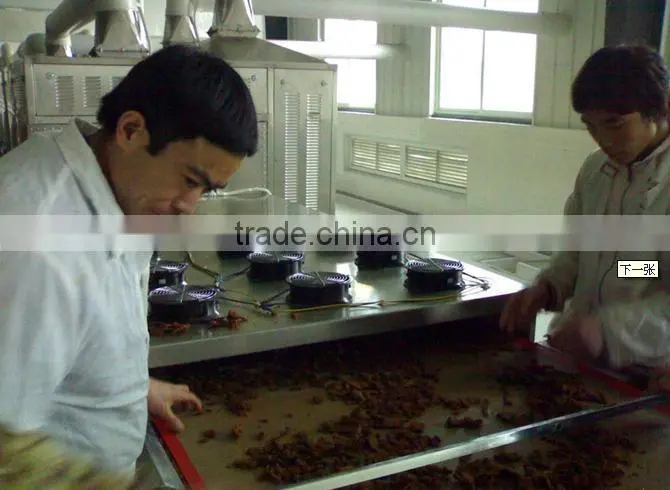 automatic high quantity Microwave vegetable drying equipment