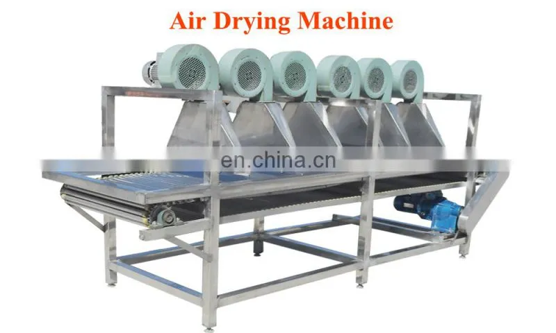 Date palm washing machine fruits and vegetables washing machine zone bubble washing machine