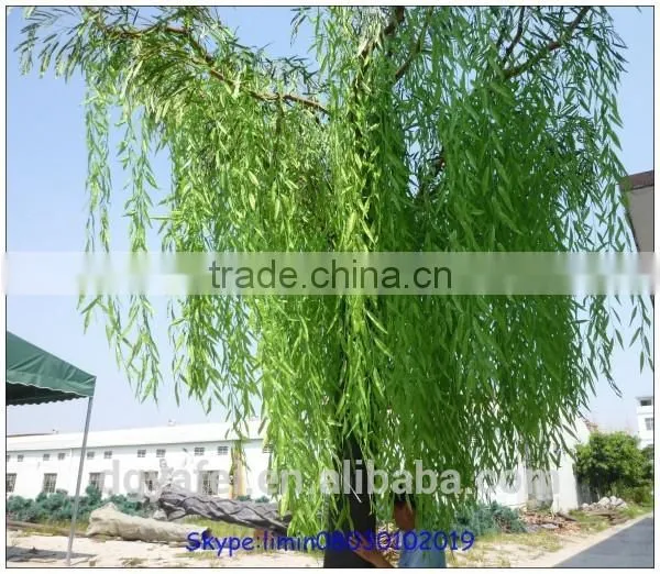 Fiberglass, plastic leaf,fiberglass trunk Material and Trees Plant Type Artificial Wepping Willow Tree for outdoor decoration