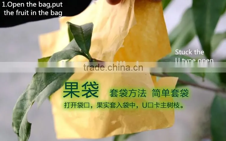 Fruit cover peach bag/kiwi fruit bag/mango bag