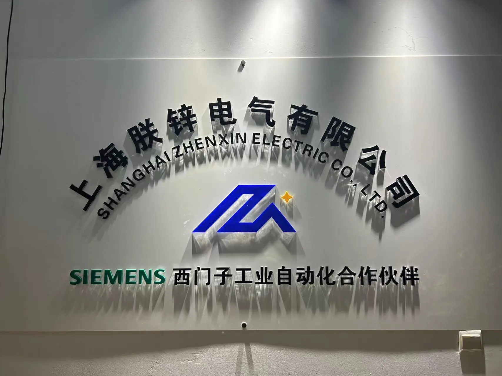 Shanghai Zhenzi Electrical Equipment Co., Ltd company overview - view 1