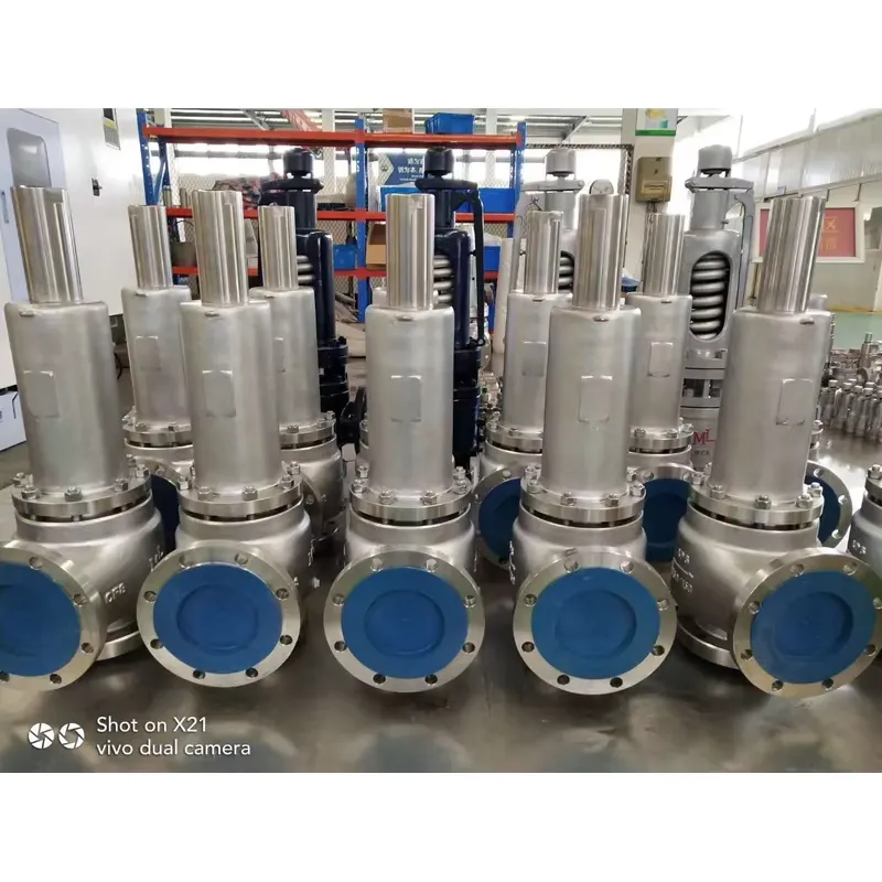 Safety Valves5