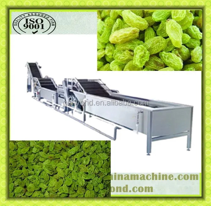 Fruit and Vegetable Processing Machine Blanching Tunnel