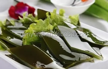 Seaweed Washing Machine/Industrial Washing Drying Machine/seaweed Nitrate Packaging Machine