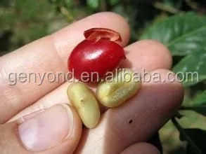 Green Coffee Bean Peeler/coffe Peeler/coff Peeling Machine for Sale