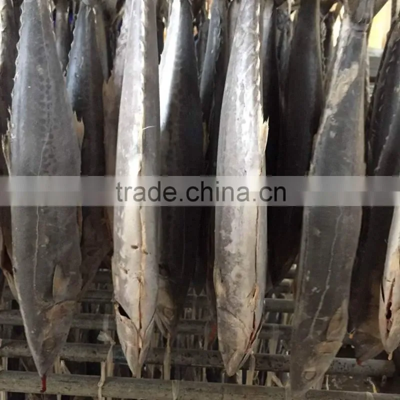 2015 hung frozen spanish mackerel whole gutted