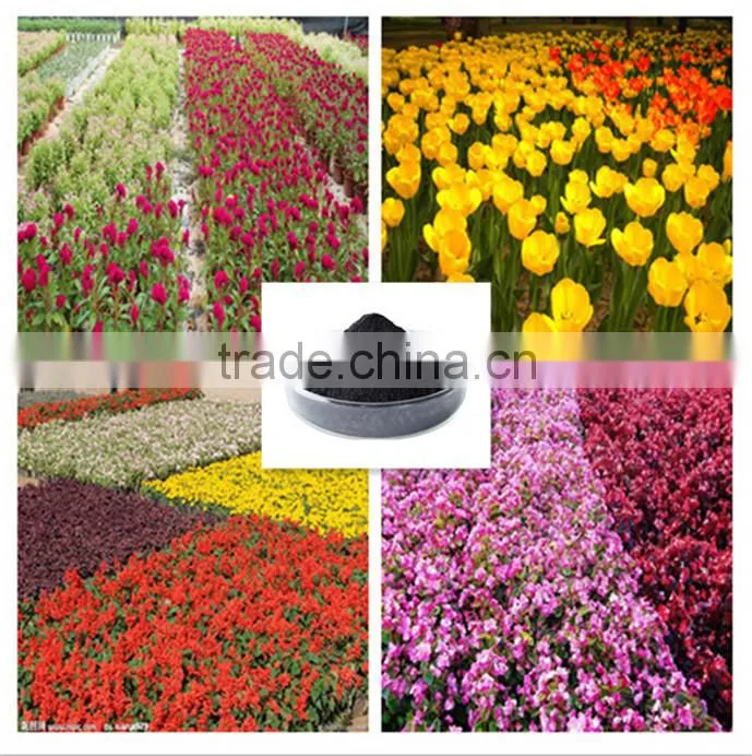 100% soluble in water organic seaweed fertilizer, black fertilizer