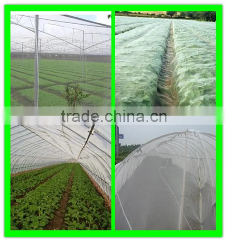 virgin hdpe garden roof insect mesh anti-bird netting