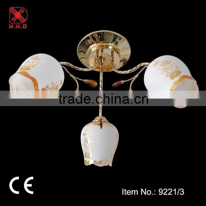 Exotic Retro rustic red bronze Chandelier wrought iron plate lighting fixture