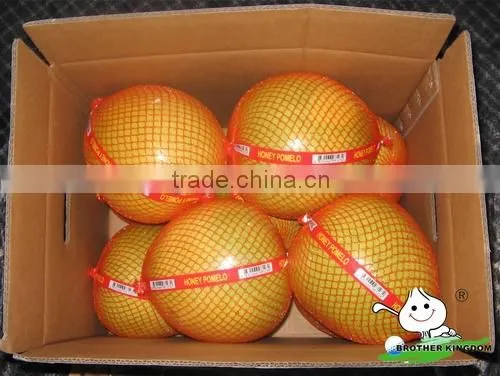 China Brother Kingdom pomelo