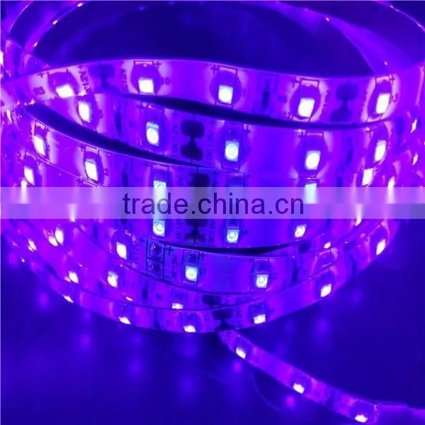 Chines factory supply DC12V 30LEDS/M LED strip light led UV strip.led flexible light SMD5050