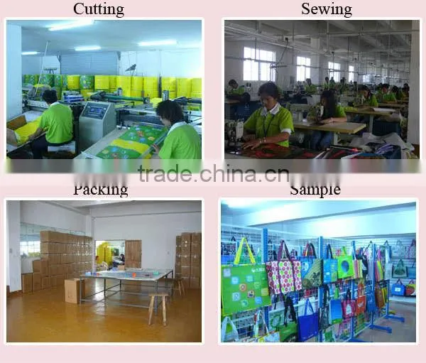 non woven PP bag