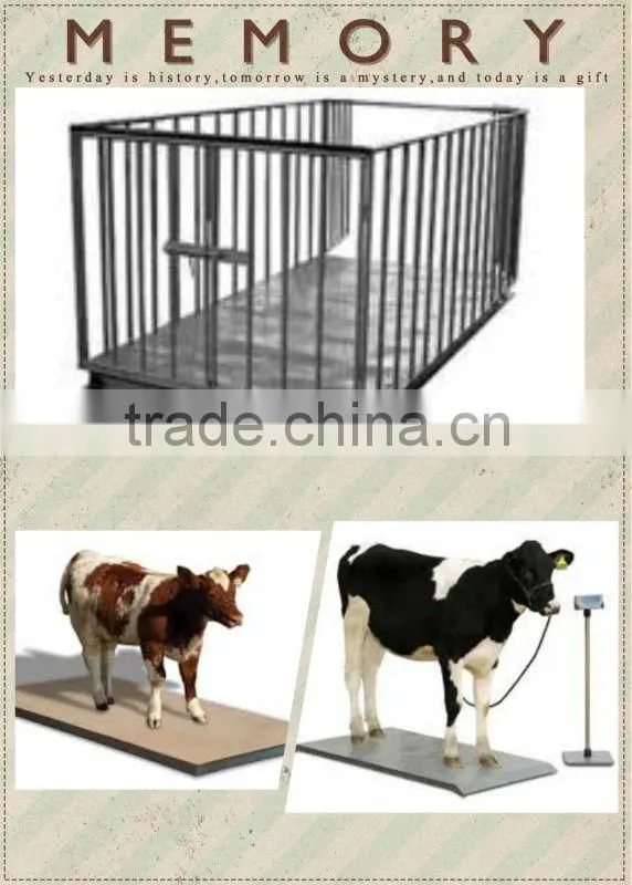 livestock platform scales