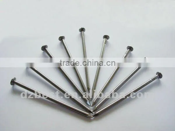 Flat head iron common nail
