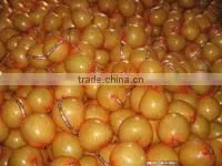 chiness pomelo