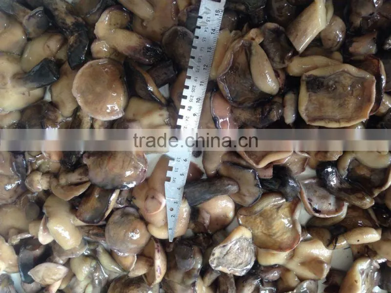 Suillus granulatus mushrooms in brine