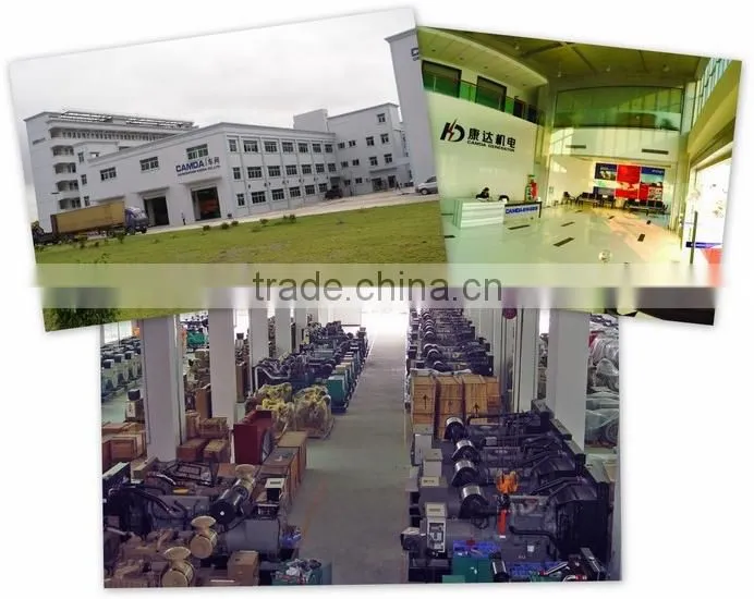 Incredible low price biogas generator set from manufacturer with CE certificate