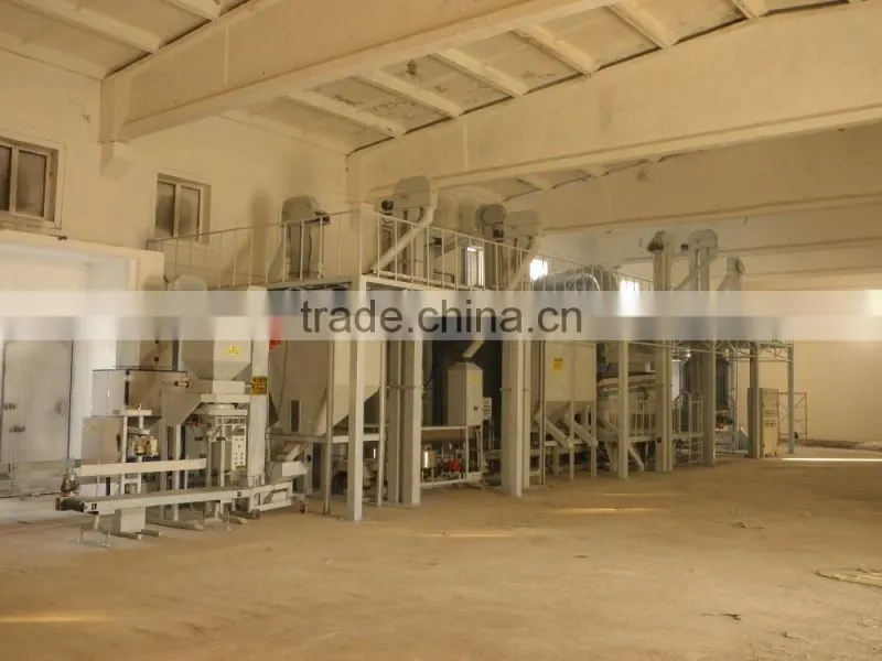 maize seed processing plant for sale